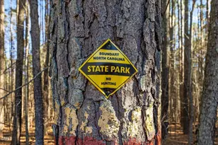 13616 New Light Rd, Raleigh, NC 27614 - Photo 52