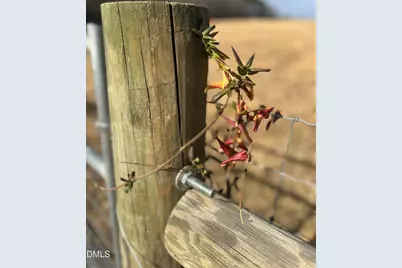 6061 River Run Trail, Graham, NC 27253 - Photo 32