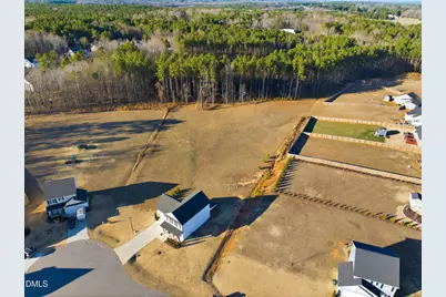 60 Robertson Stable Lane, Zebulon, NC 27597 - Photo 56