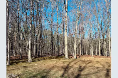 60 Forest Drive, Timberlake, NC 27583 - Photo 8