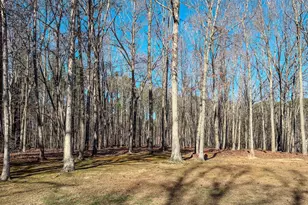 60 Forest Dr, Timberlake, NC 27583 - Photo 8