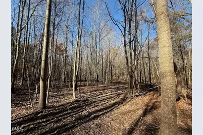 00 Stone Drive, Roxboro, NC 27573 - Photo 54