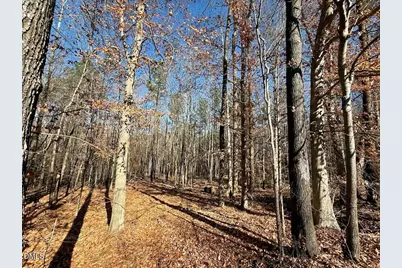 00 Stone Drive, Roxboro, NC 27573 - Photo 40