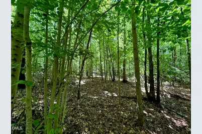 00 Stone Drive, Roxboro, NC 27573 - Photo 74