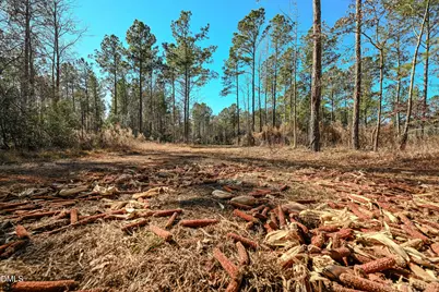 2729 McNeill Hobbs Road, Bunnlevel, NC 28323 - Photo 42