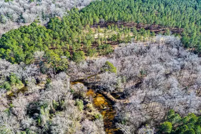 2729 McNeill Hobbs Road, Bunnlevel, NC 28323 - Photo 38