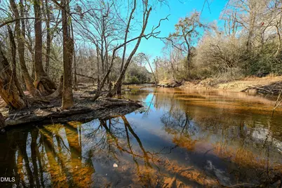 2729 McNeill Hobbs Road, Bunnlevel, NC 28323 - Photo 46