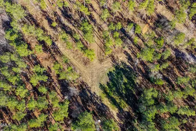 2729 McNeill Hobbs Road, Bunnlevel, NC 28323 - Photo 26