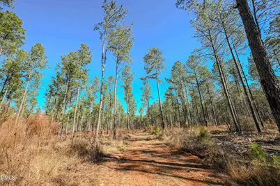 2729 McNeill Hobbs Road, Bunnlevel, NC 28323 - Photo 50