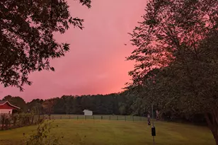 10775 Buffalo Creek Rd, Bahama, NC 27503 - Photo 62