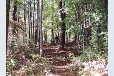 332 Kings Glen Way, Wake Forest, NC 27587 - Photo 84