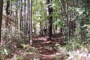 332 Kings Glen Way, Wake Forest, NC 27587 - Photo 84