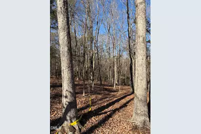 93 Firefly Overlook, Pittsboro, NC 27312 - Photo 8