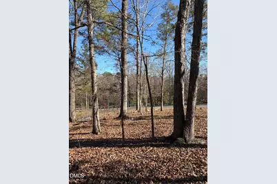 93 Firefly Overlook, Pittsboro, NC 27312 - Photo 10