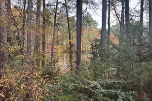 677 Pine Ridge Pl, Raleigh, NC 27609 - Photo 8