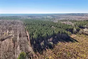 0 Dewitt Smith Rd, Pittsboro, NC 27312 - Photo 1