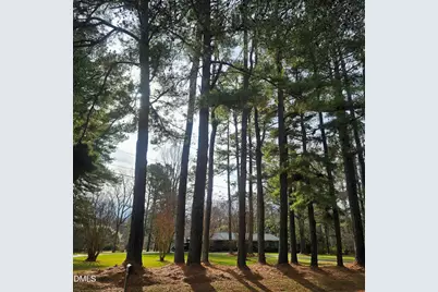 3144 N Carolina 62, Liberty, NC 27298 - Photo 42