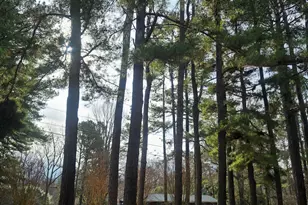 3144 N Carolina 62, Liberty, NC 27298 - Photo 42