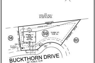 20 Buckthorn Dr, Youngsville, NC 27596 - Photo 4