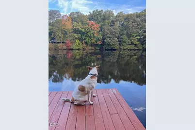 901 Bridge Way, Raleigh, NC 27615 - Photo 22