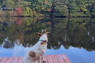 901 Bridge Way, Raleigh, NC 27615 - Photo 22