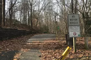 220 Elizabeth St, Chapel Hill, NC 27514 - Photo 46