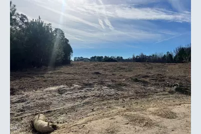 31 Woods Hill Lane Drive, Benson, NC 27504 - Photo 4