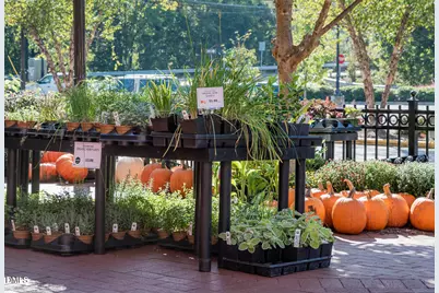 2100 Black Walnut Farm Road, Hillsborough, NC 27278 - Photo 66