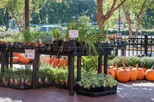 2100 Black Walnut Farm Rd, Hillsborough, NC 27278 - Photo 66