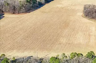 518 Orange Factory Rd, Bahama, NC 27503 - Photo 44