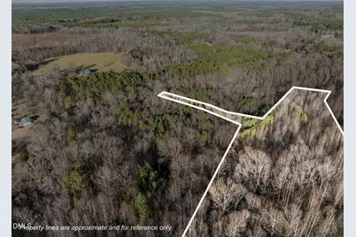 0 Silk Hope Gum Springs Road, Pittsboro, NC 27312 - Photo 2