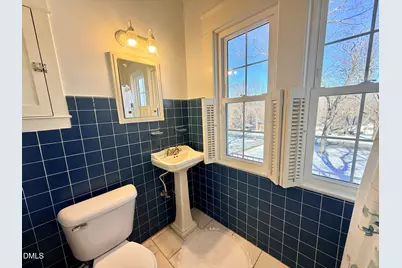 229 Wesleyan Heights Road, Roxboro, NC 27573 - Photo 34