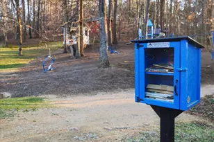 105 Rossburn Way, Chapel Hill, NC 27516 - Photo 60