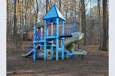 105 Rossburn Way, Chapel Hill, NC 27516 - Photo 66