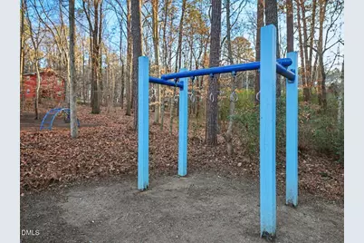 105 Rossburn Way, Chapel Hill, NC 27516 - Photo 62