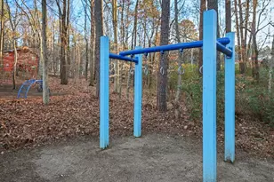 105 Rossburn Way, Chapel Hill, NC 27516 - Photo 62