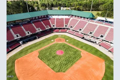 324 Sweetbay Tree Drive, Wendell, NC 27591 - Photo 26