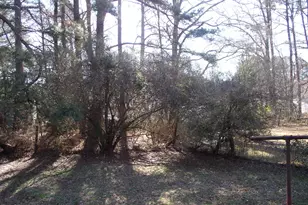 105 S Elizabeth St, Henderson, NC 27536 - Photo 18