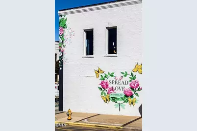 318 Sweetbay Tree Drive, Wendell, NC 27591 - Photo 32