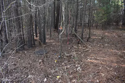 804 Carpenter Fletcher Road, Durham, NC 27713 - Photo 2