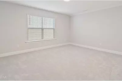 201 Spring Hope Drive, Holly Springs, NC 27540 - Photo 48