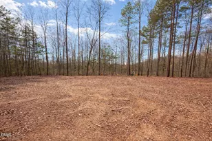 4025 Hamlets Chapel Rd, Pittsboro, NC 27312 - Photo 12