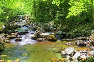 349 Brk Grn Ln, Pittsboro, NC 27312 - Photo 16