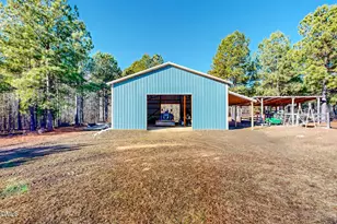 125 Ninovan Pl, Rougemont, NC 27572 - Photo 52