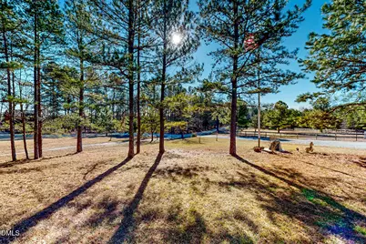 125 Ninovan Place, Rougemont, NC 27572 - Photo 50