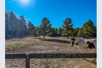 125 Ninovan Place, Rougemont, NC 27572 - Photo 54