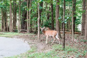 4820 Gossamer Ln, Raleigh, NC 27616 - Photo 38