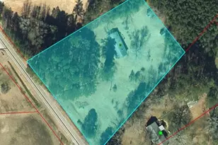 783 Bruce Coggins Rd, Sanford, NC 27332 - Photo 2