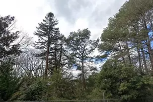 900 Nash St N, Wilson, NC 27893 - Photo 88