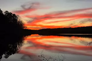 2118 Herron Rd, Burlington, NC 27215 - Photo 80